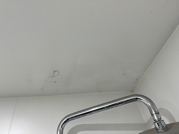 Mould-Remediation-Before1