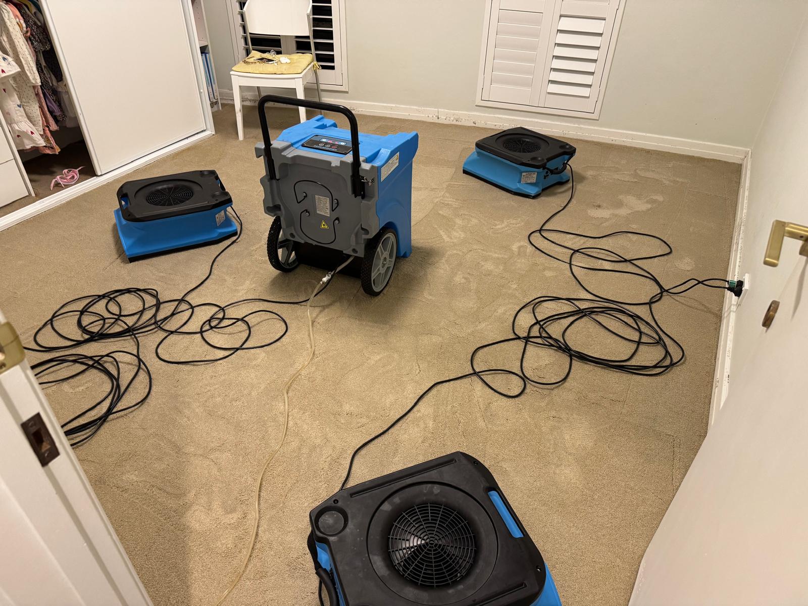Wallsend wet carpet drying