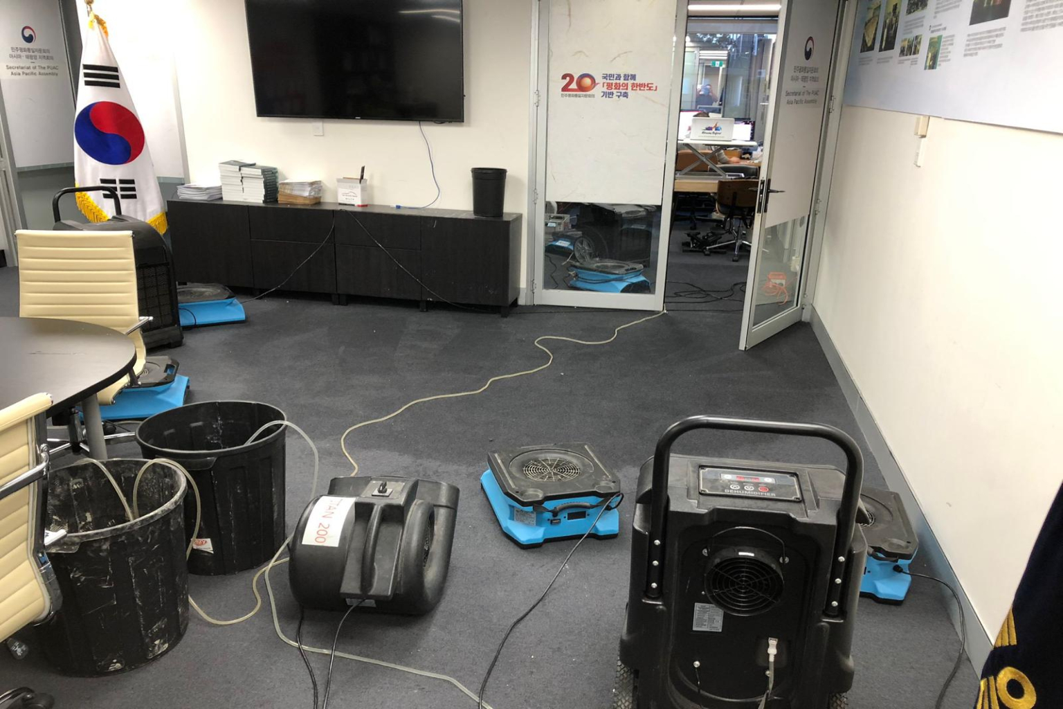 emergency carpet drying